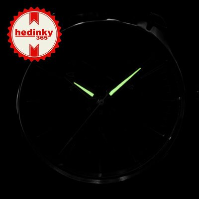 Festina Retro 16573/4