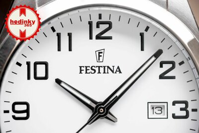 Festina Classic Strap 20446/1