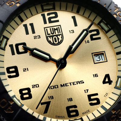 Luminox Sea XS.0325.GP