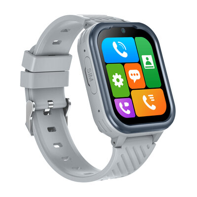 Body ID BodyGuard 5X, 4G, Gray