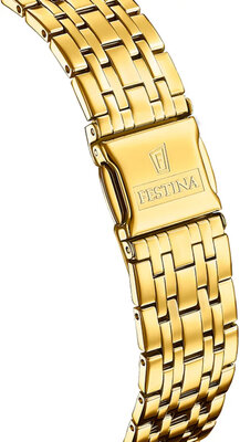 Festina Swiss Made 20046/4