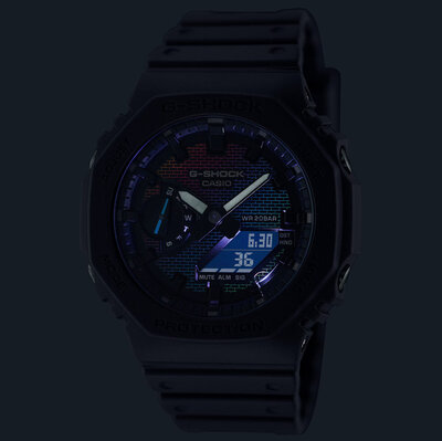 Casio G-Shock Original GA-2100RW-1AER Carbon Core Guard