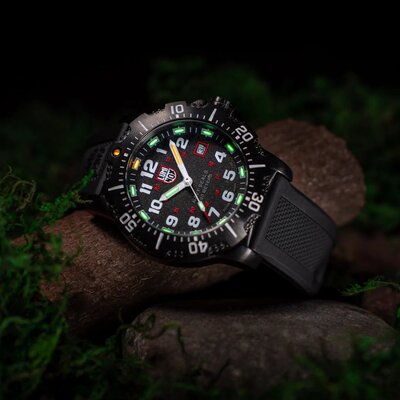 Luminox Navy Seal 4230 Series XS.4231.SET (+ Ersatzband)
