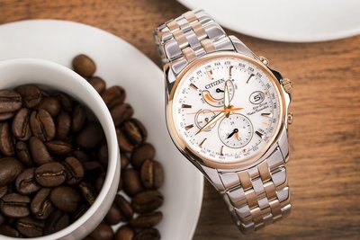 Citizen Elegant Ladies Eco-Drive Radio Controlled FC0014-54A