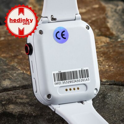 Body ID BodyGuard 5X, 4G, Gray